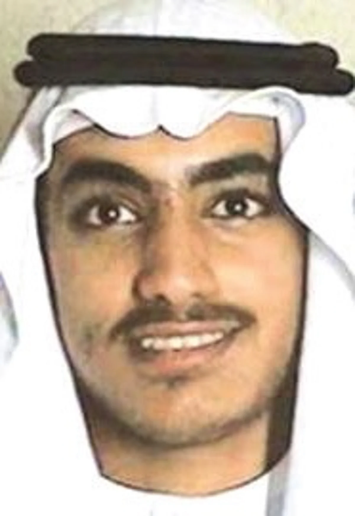 Al-Qaeda heir Hamza bin Laden killed in air strike: US media