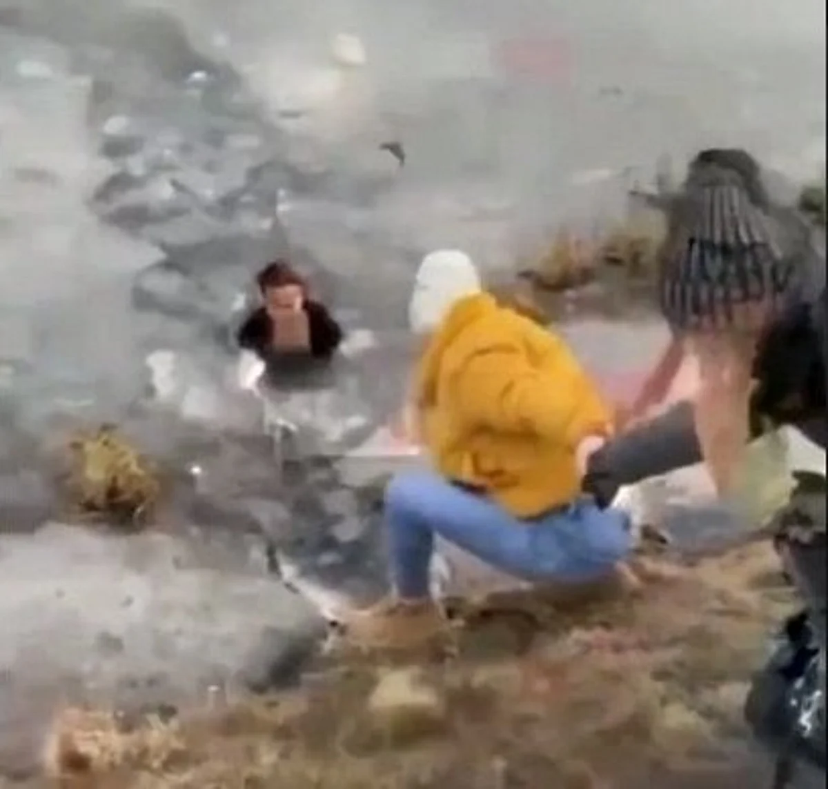 Woman cuts through icy pond to save dog, netizens laud