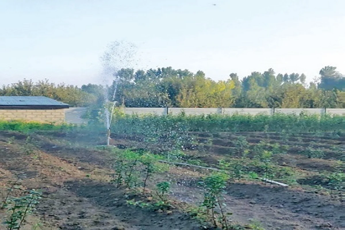 Nursery Growers seek financial schemes to boost production
