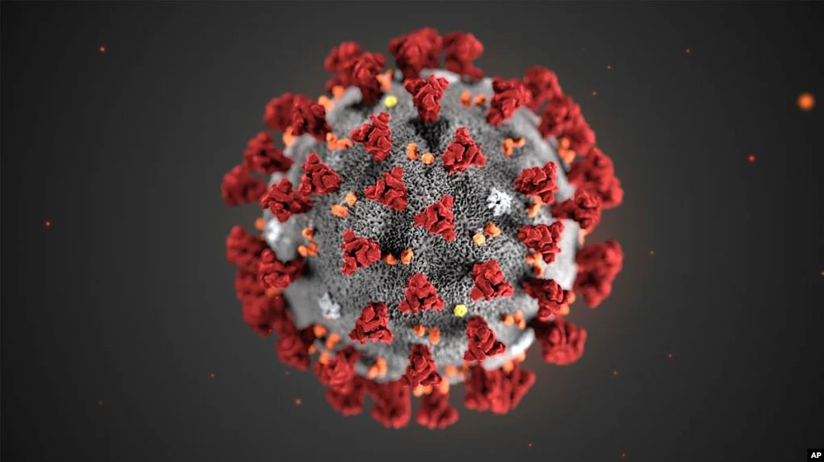 New COVID-19 variant detected in South Africa: Scientists
