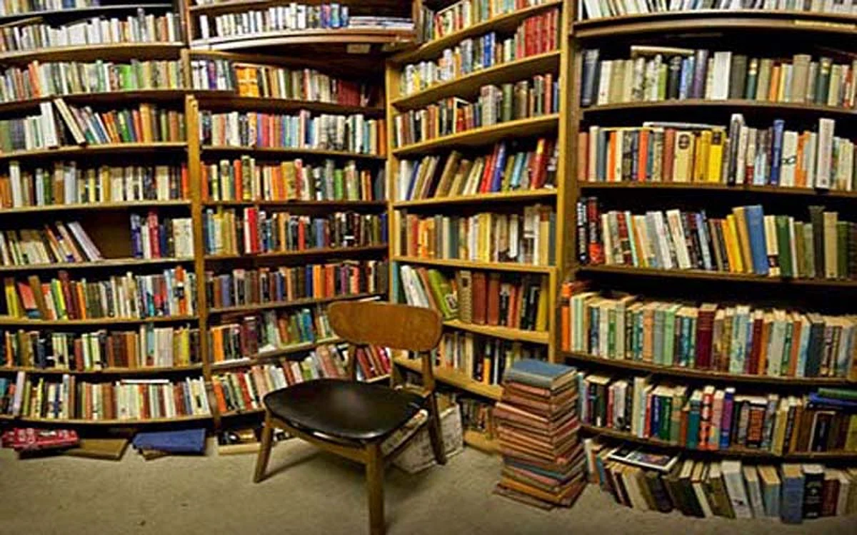 Cross-cultural readership ‘a beautiful way to participate in the world’: Ann Meryem Baycan