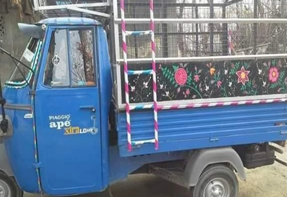 Representational Pic