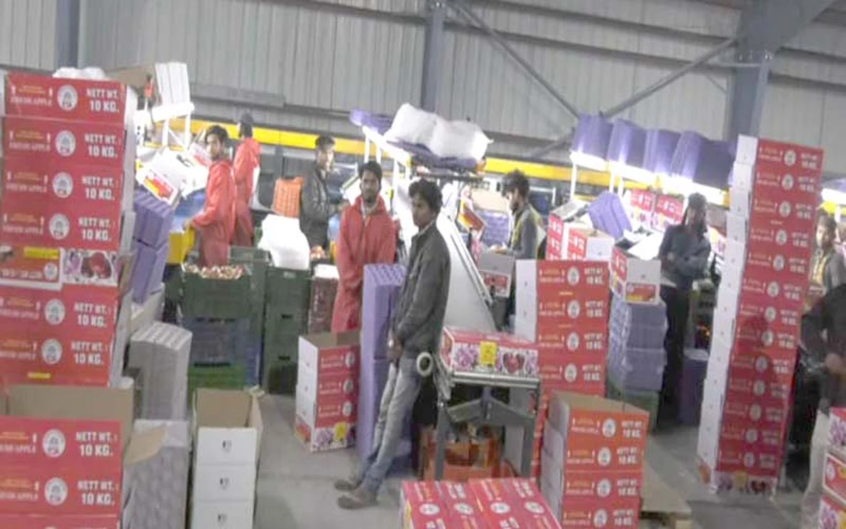 Cabinet approves procurement of Kashmir apple under MIS