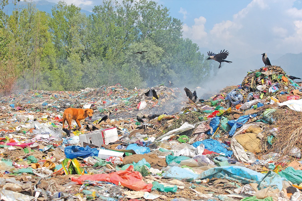 Wular Lake a victim of garbage dumping
