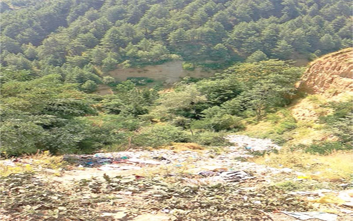 None has approached Gram Sabha with claims on forest land: Officials