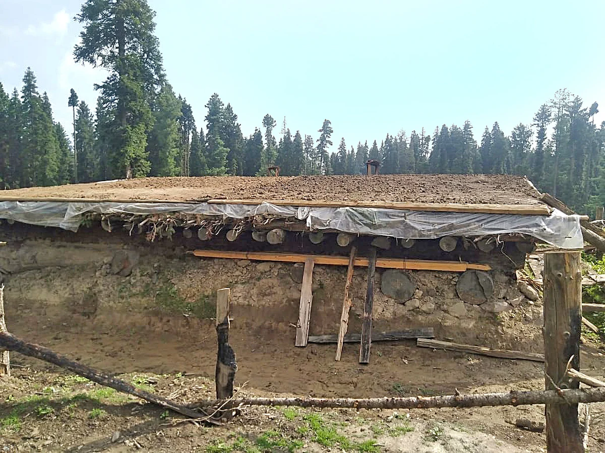 Forest team to verify reports of damages in Doodhganga area
