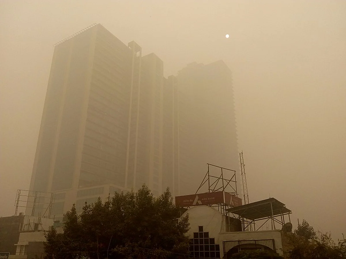 ‘Very dense’ fog lowers visibility to zero meters in Delhi, traffic movement hit