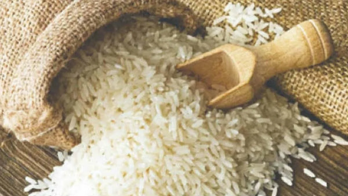 Pak to challenge India’s application for exclusive GI tag to Basmati rice in EU