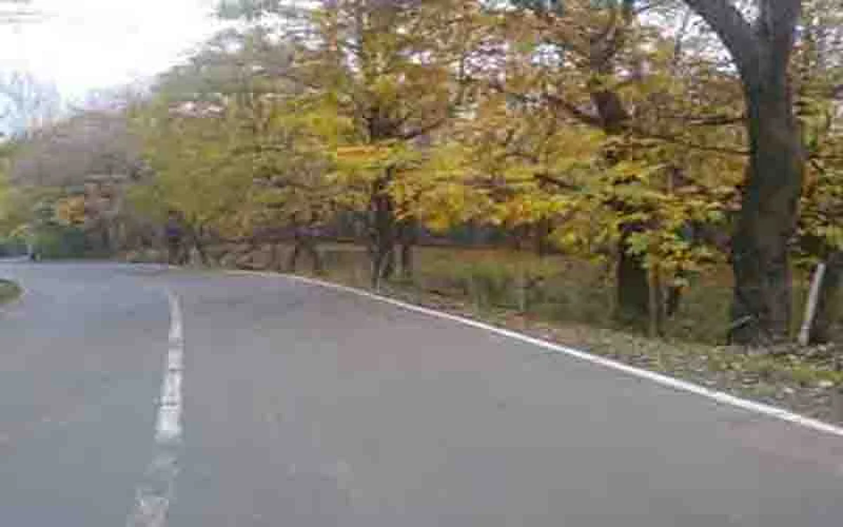 Pulwama village gets road connectivity, residents overjoyed