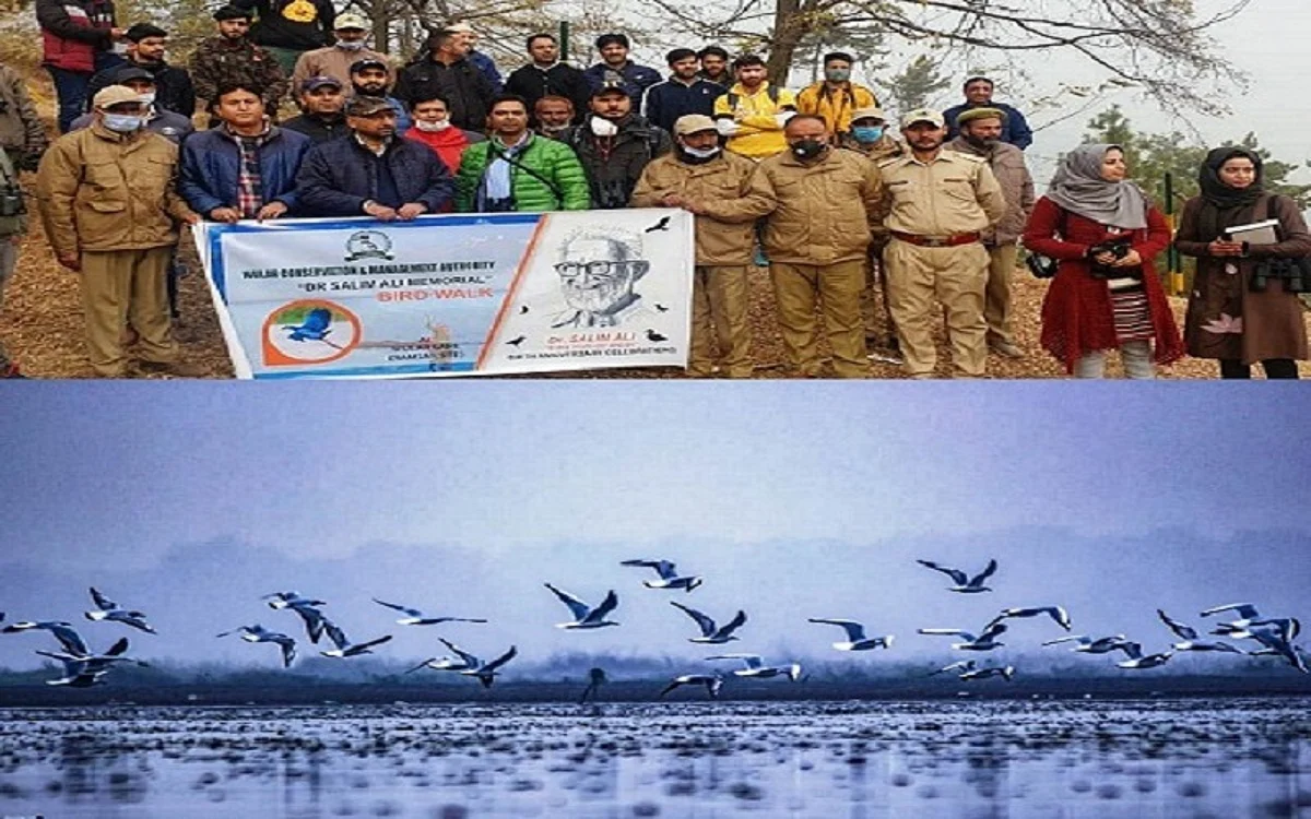 WUCMA organises ‘bird walk’ at Wular