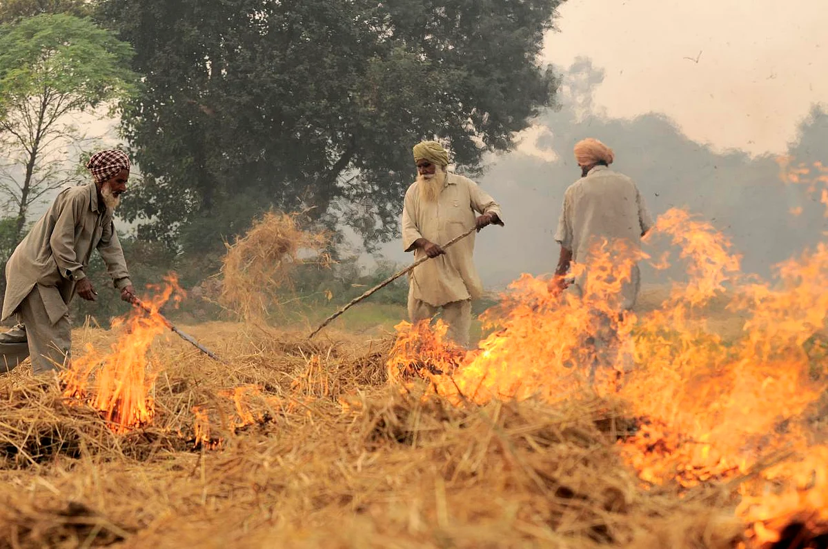 Farmers evolve rotation strategy to balance protests and farming
