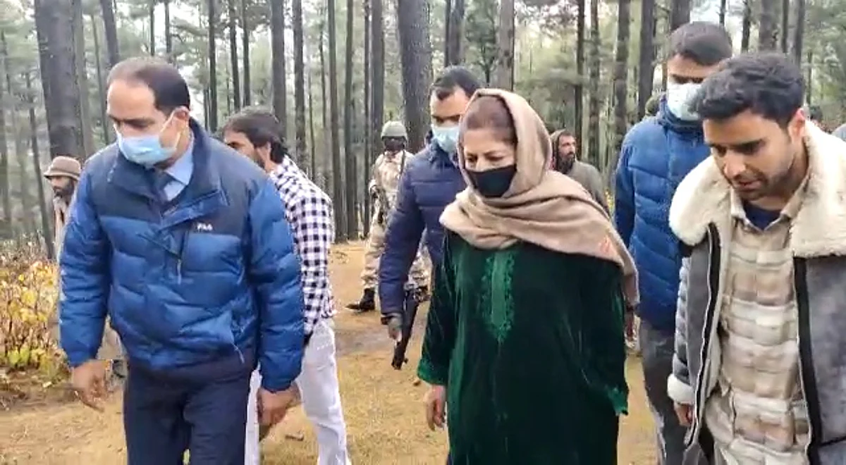 Photo Source: Video Grab