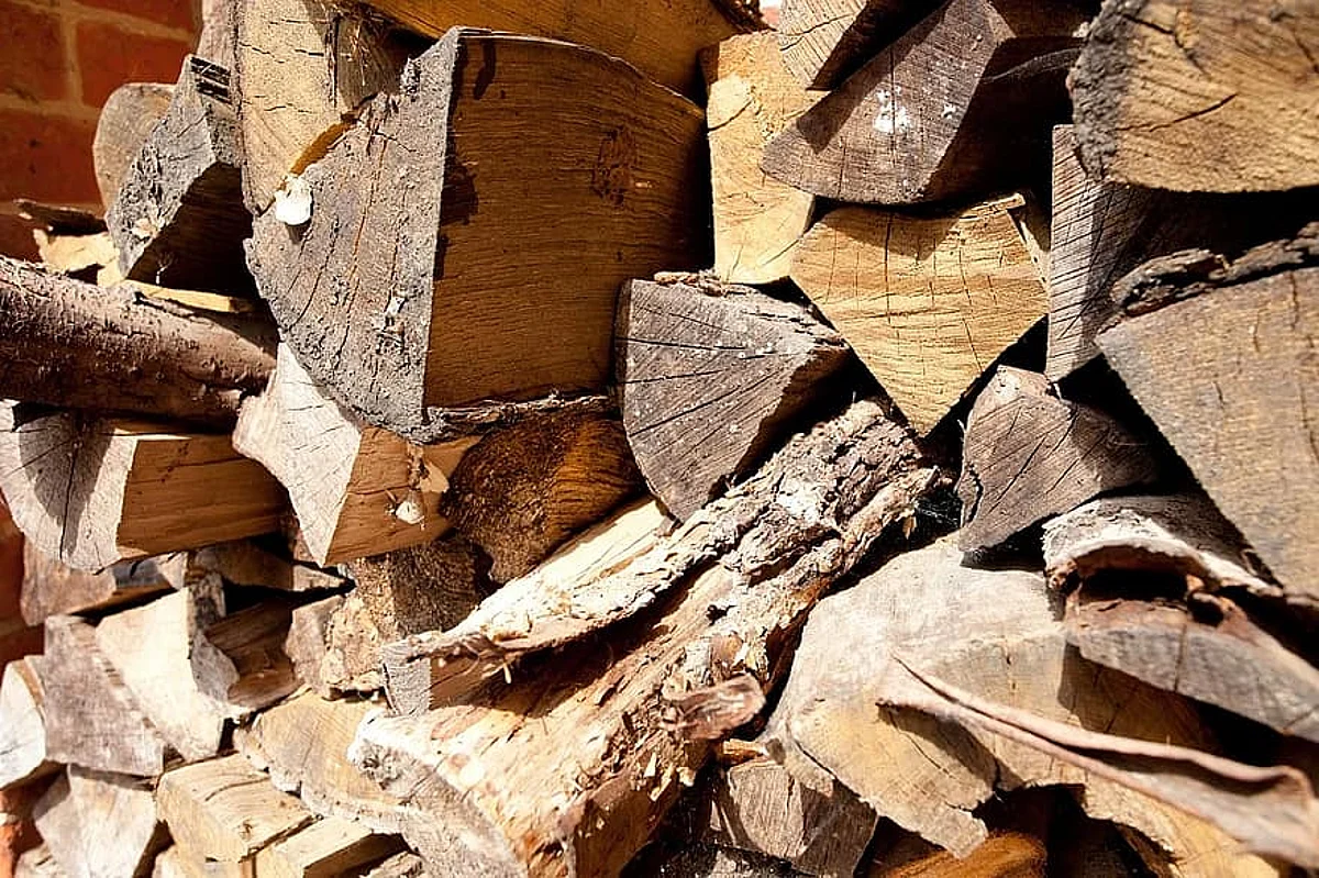 Forest deptt starts supply of firewood to registered agencies