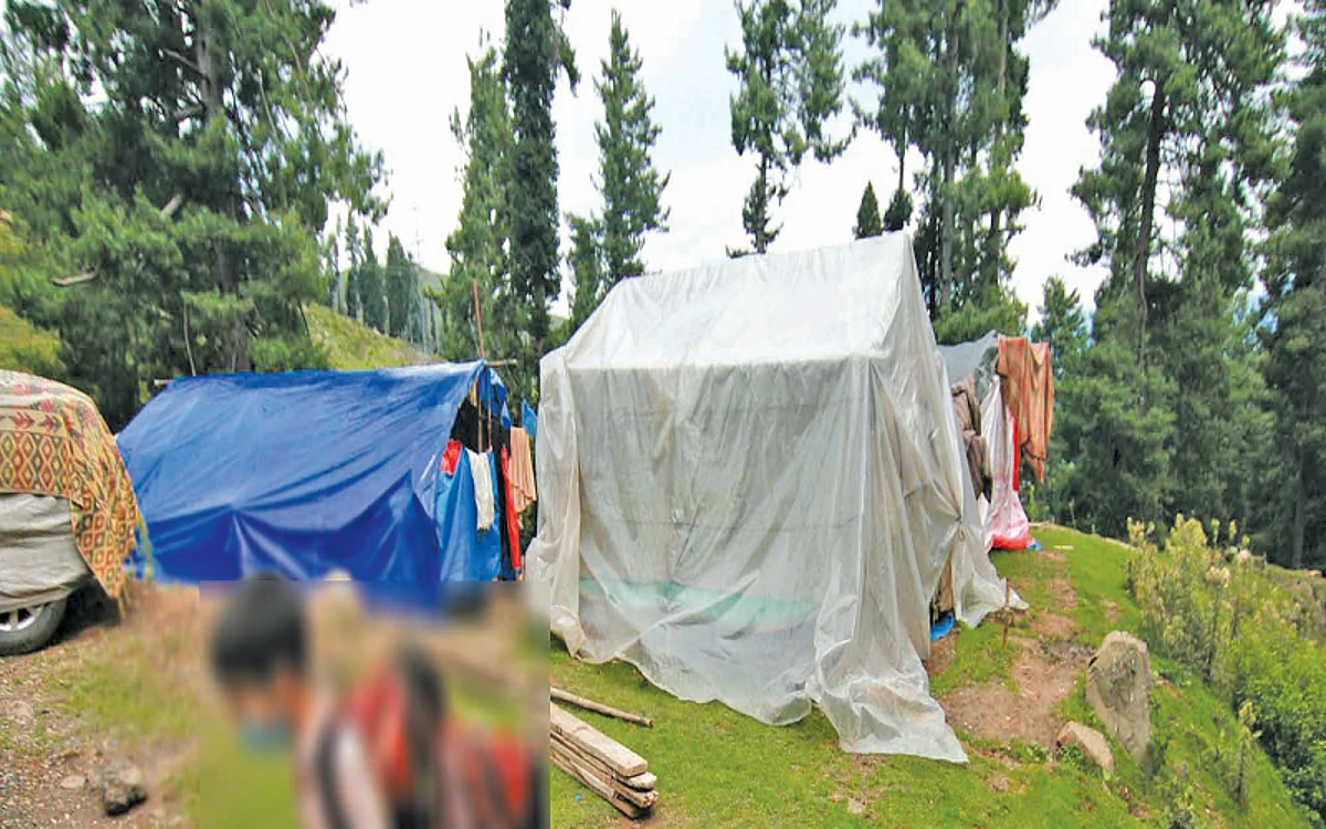 Violation of Forest Rights in J&K- II