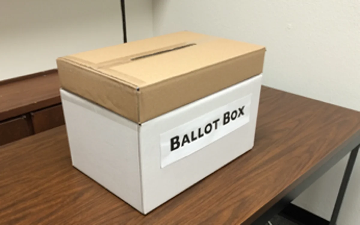 DDC chairperson, VC election to be held through secret ballot