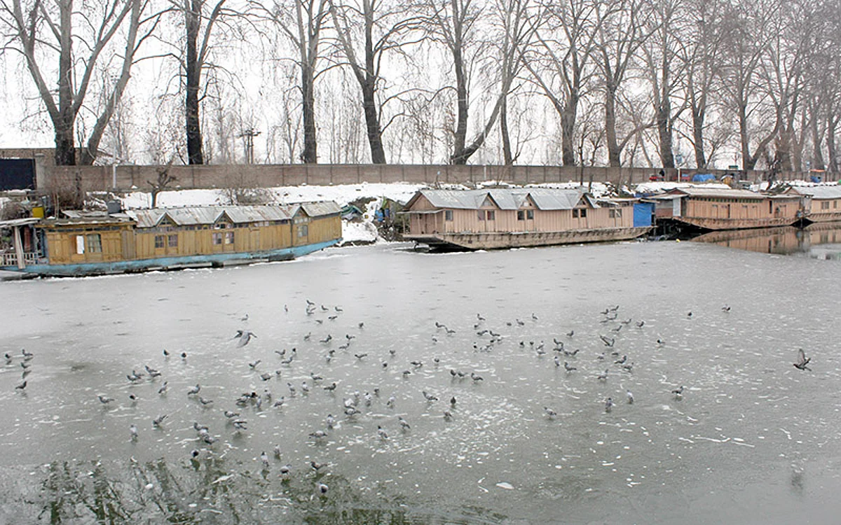 Minimum temperatures improve across J&K, Ladakh