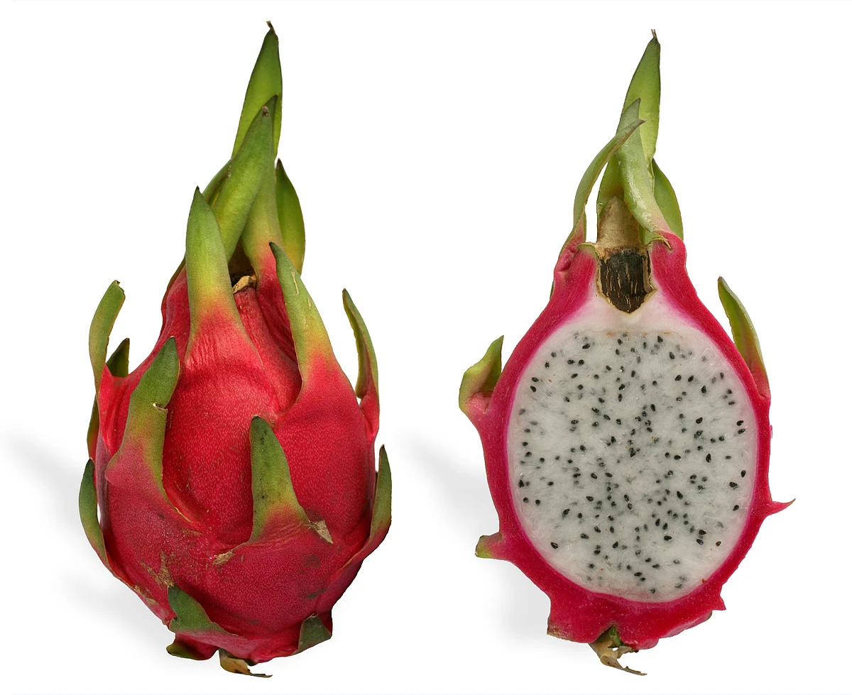 BJP govt in Gujarat renames Dragon Fruit as ‘Kamalam’, CM Rupani says ‘outer shape of fruit resembles lotus’