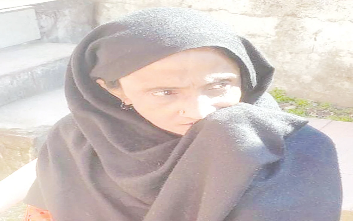 Poonch woman who strayed into PaK handed over to authorities