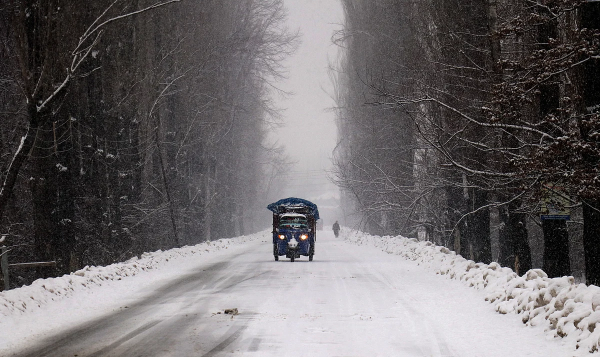 Fog and frost affect normal life in J&K