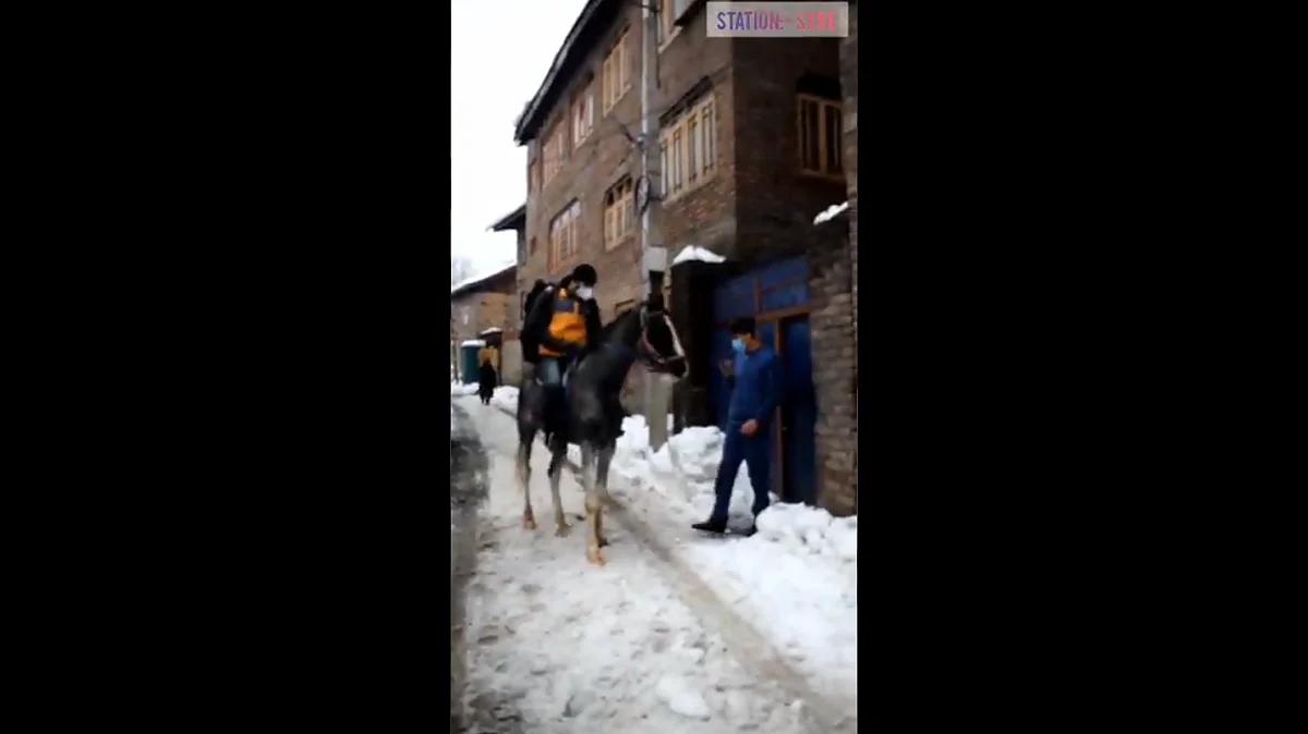 Video: Amazon boy delivering parcels on horseback in snow-clogged Srinagar wins hearts