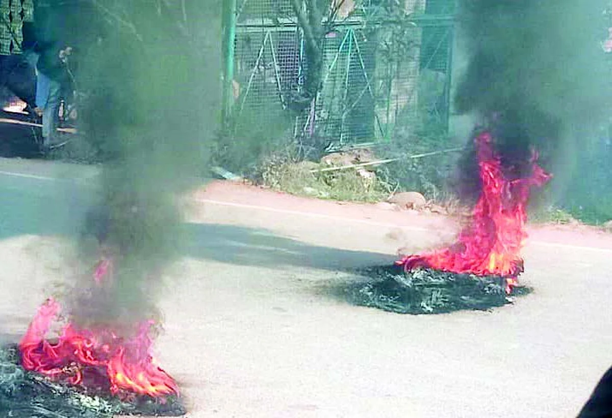 Bovine smuggling: Villagers stage protest, demand arrest of accused