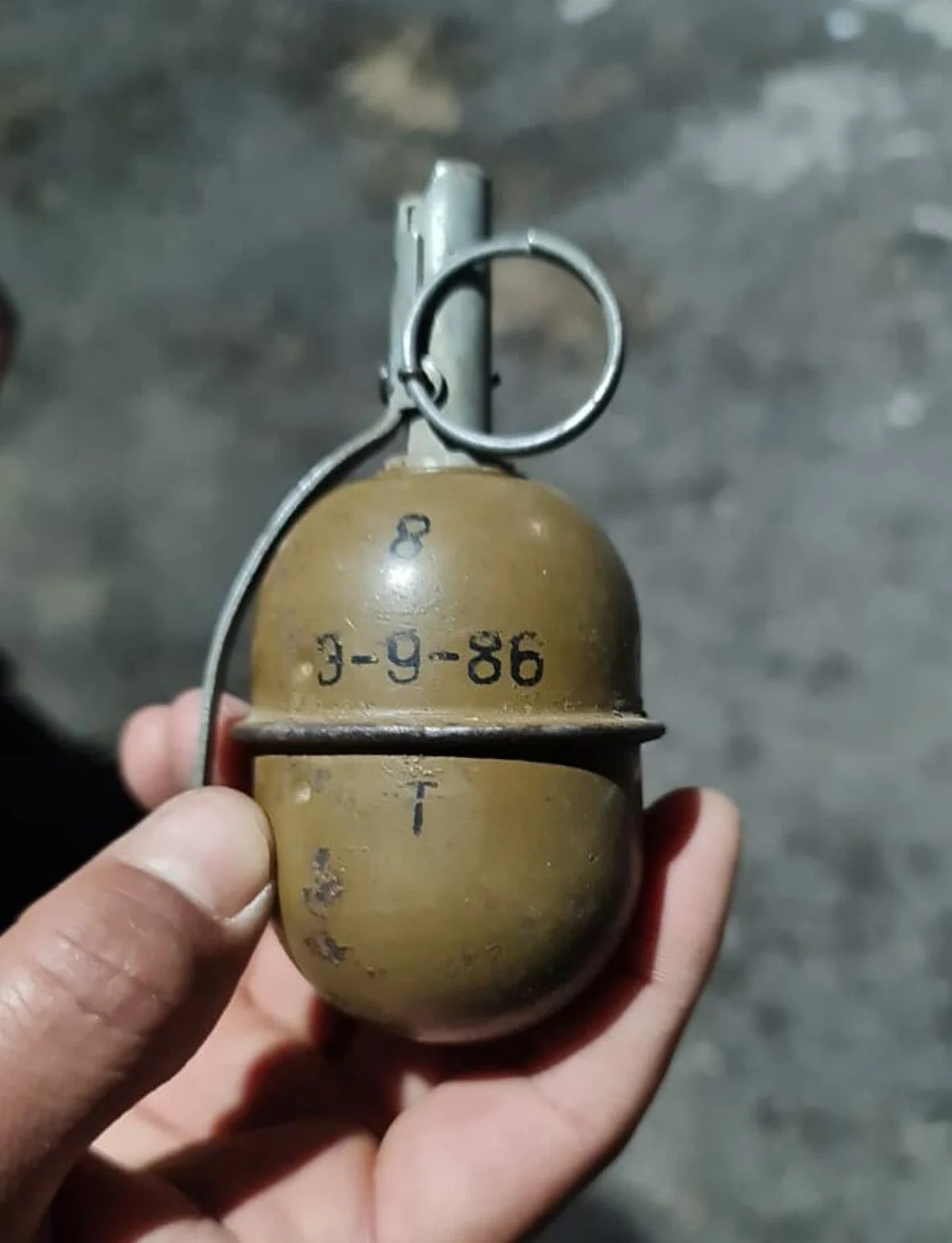 Jaish militant associate held with grenade in south Kashmir’s Tral: Police