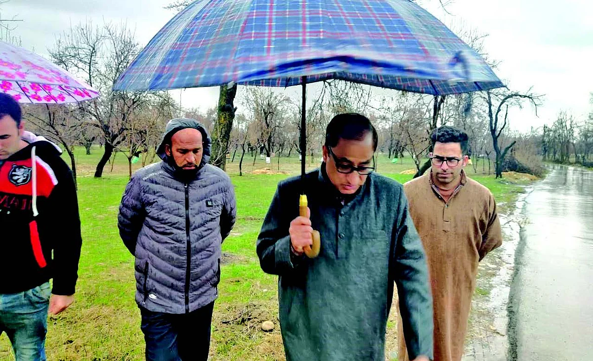 Director Horticulture visits porcupine-damaged orchards in Pulwama