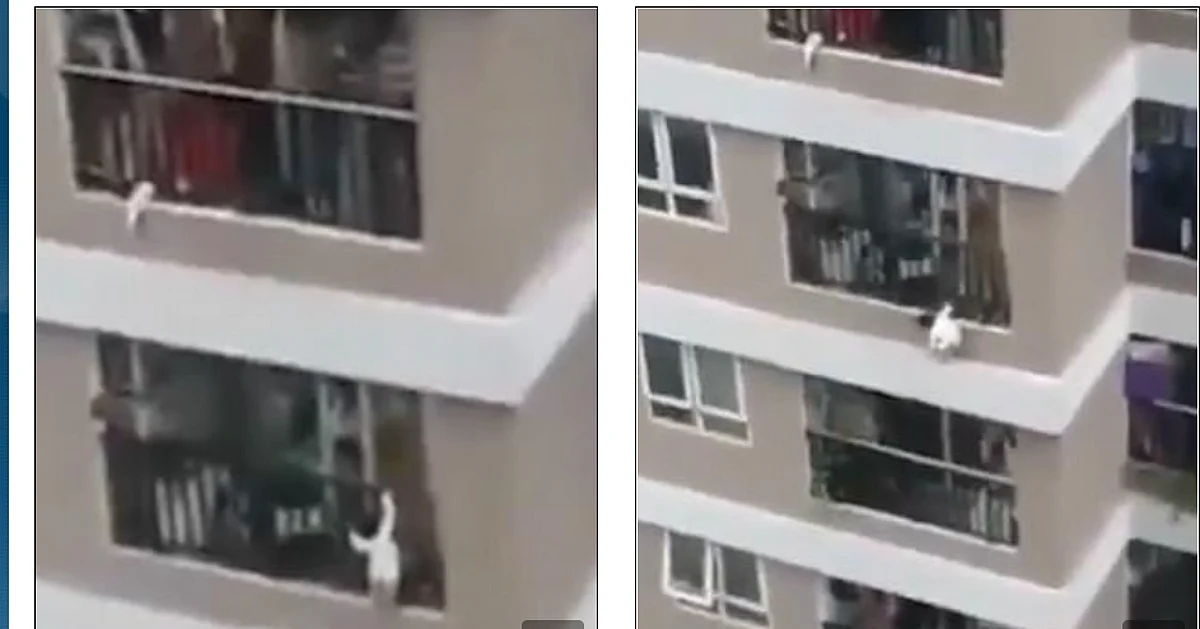 Watch: Toddler falls from 12th floor of apartment in Vietnam; fortunately there is a happy ending