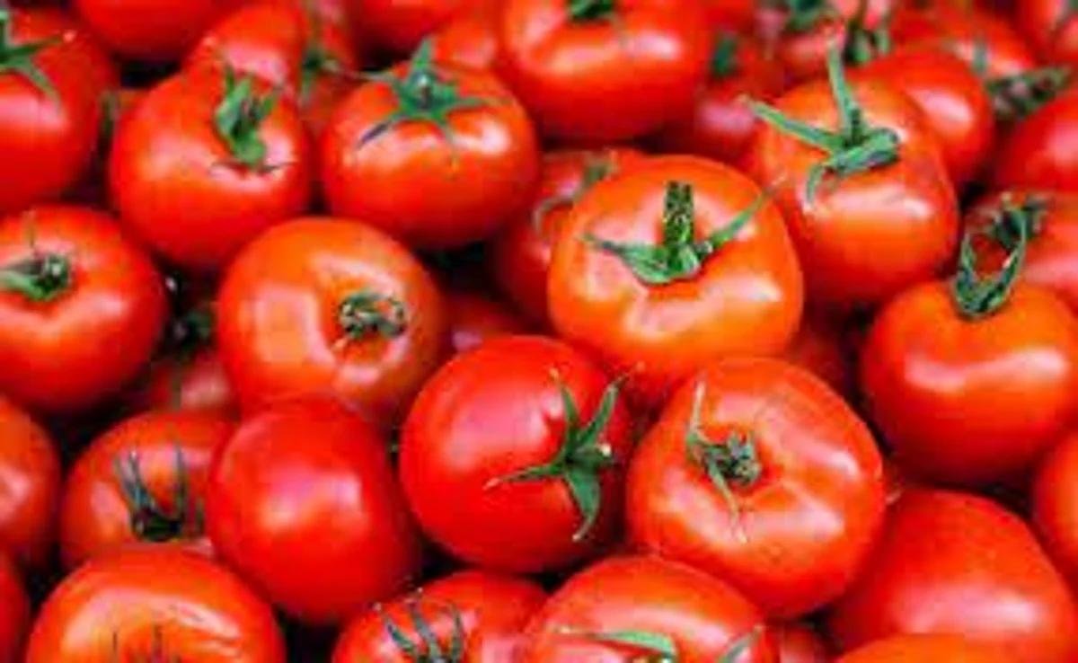 Tomato prices shooting through the roof in B'luru