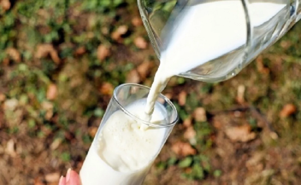 India: From a milk deficit country to world's largest producer