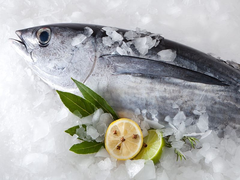 Folks at High Risk of Heart Disease May Gain From Mackerel, Tuna - Vimarsana News