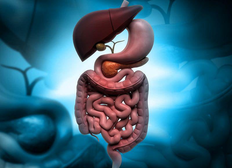 Subtle Changes Could Predict IBD Years Before Symptoms Hit - Vimarsana News