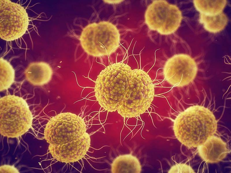 New Antibiotic Tackles Drug-Resistant Gonorrhea in Trial - Vimarsana News