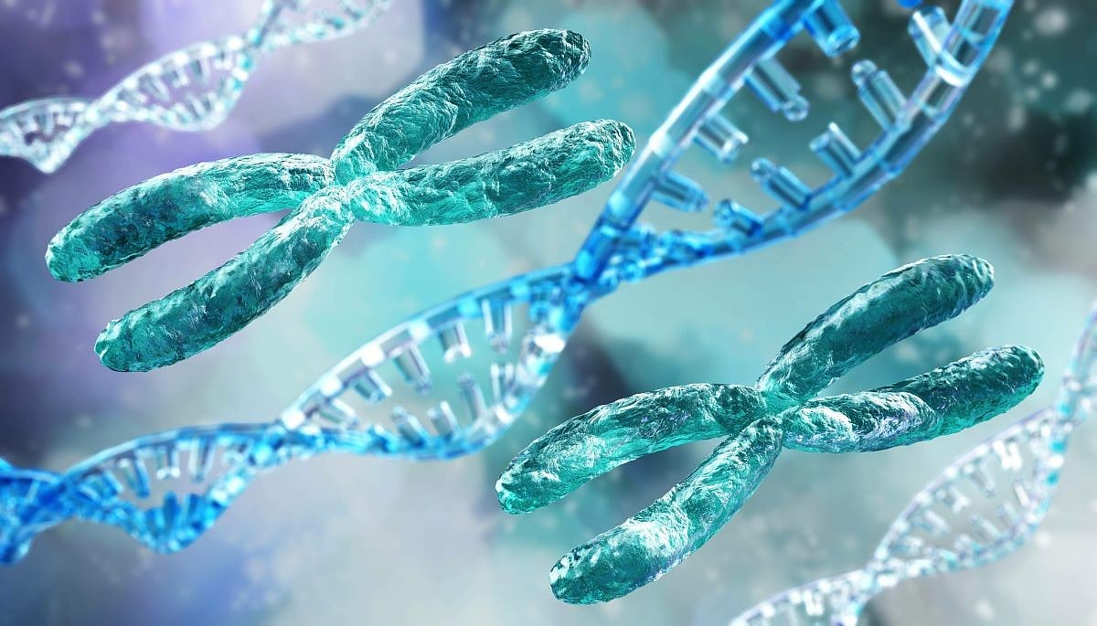 Too Many Breast Cancer Survivors Miss Out on Genetic Screening