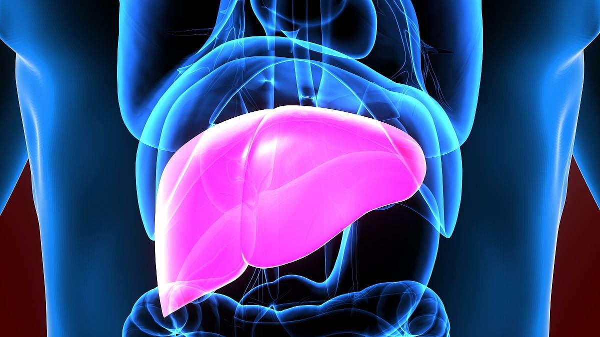 Can Non-Statin Cholesterol Meds Help Your Liver?