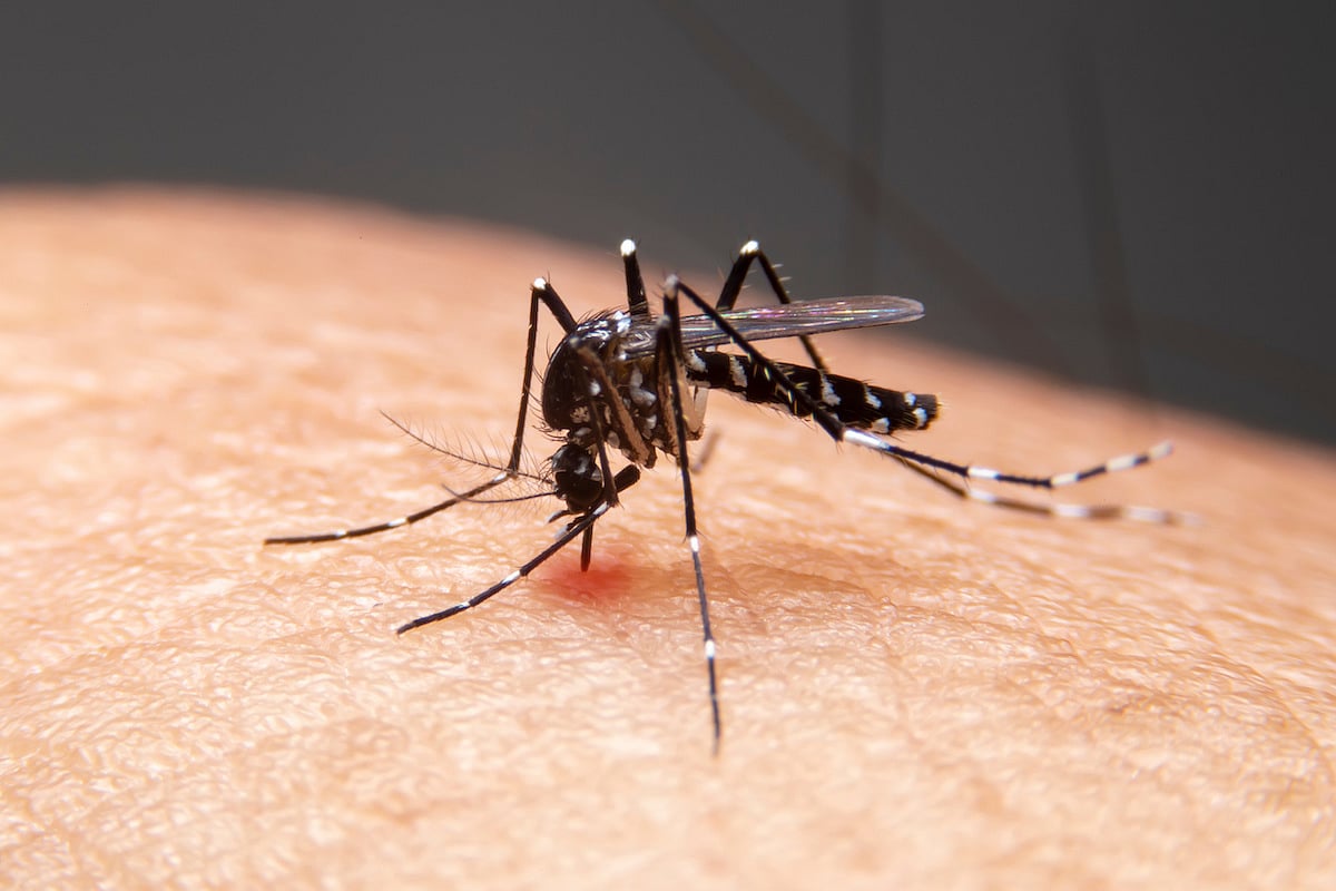 Wisconsin Reports First West Nile Virus Case of the Year