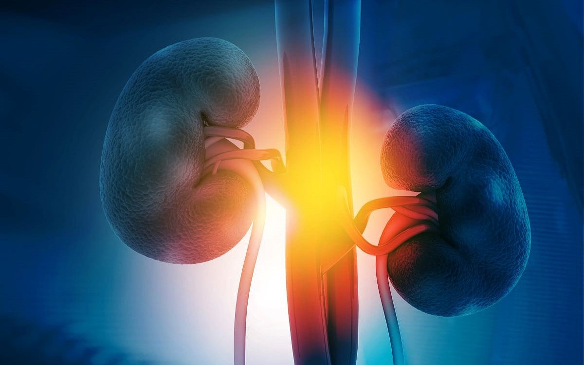 Diabetes & Kidney Trouble Can Bring Heart Disease Decades Earlier