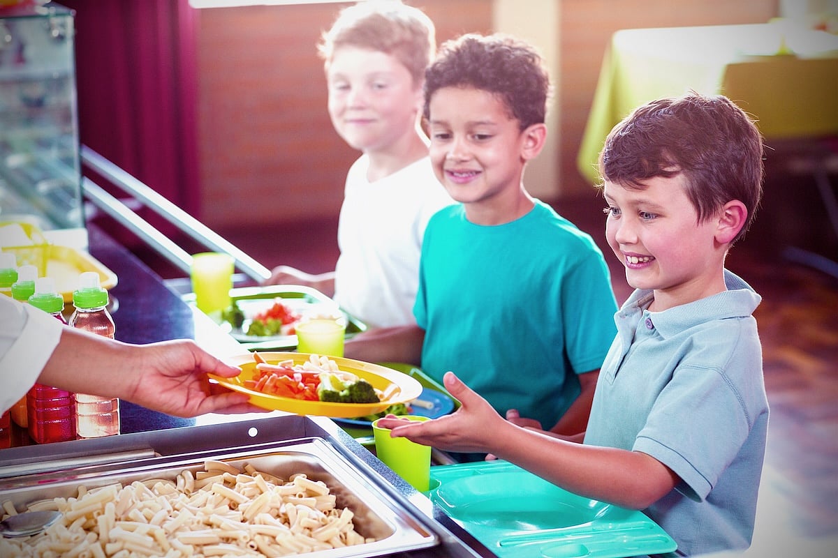 Free Meals at School May Boost Attendance, Lower Obesity Rates