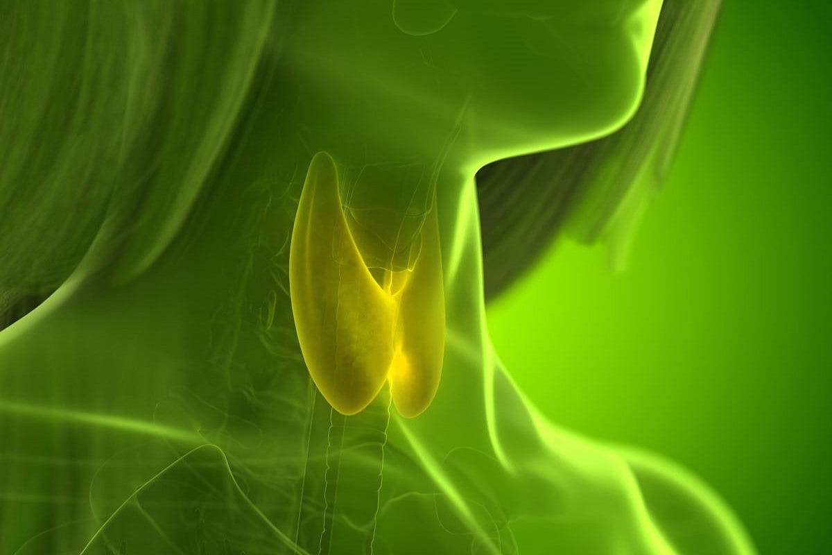 FDA Upgrades Recall on 160,000+ Bottles of Thyroid Medication