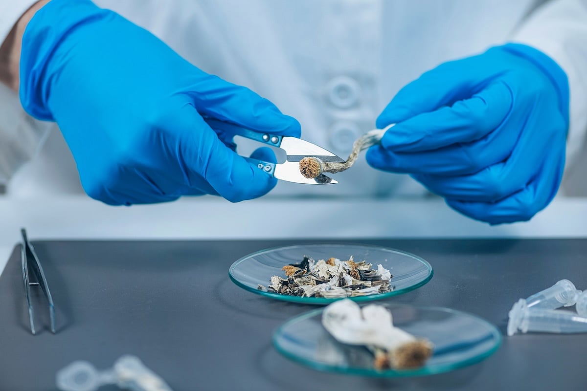 Psychedelics Can Help Cancer Patients Battling Depression