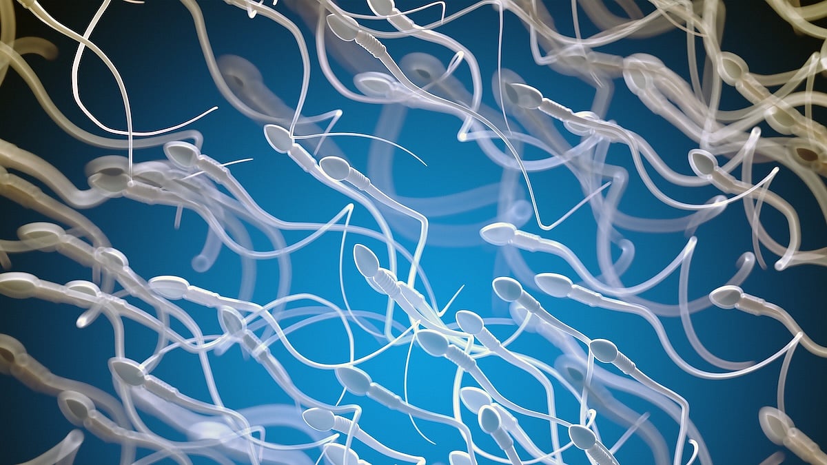 Dirty Air Could Harm Men's Fertility, Noise Could Harm Women's