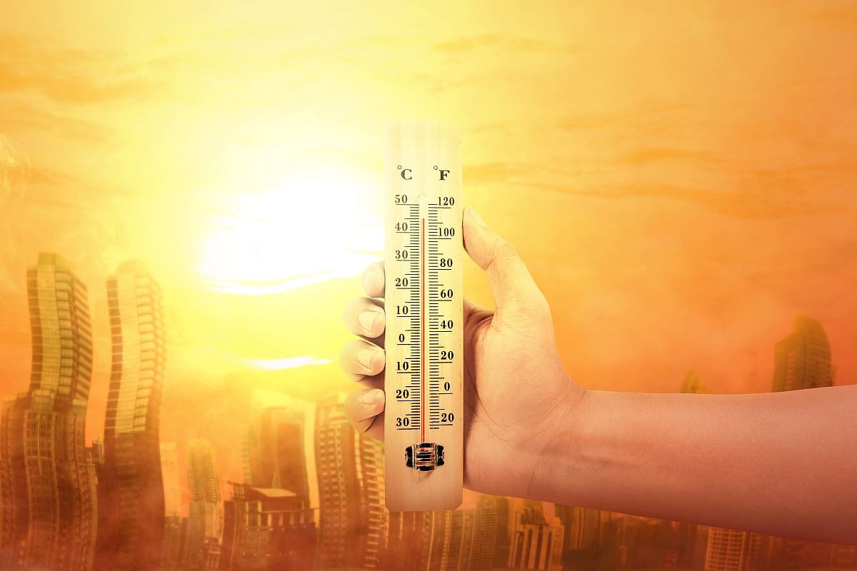 More Than Half of Heat Deaths Can Be Blamed on Global Warming: Study
