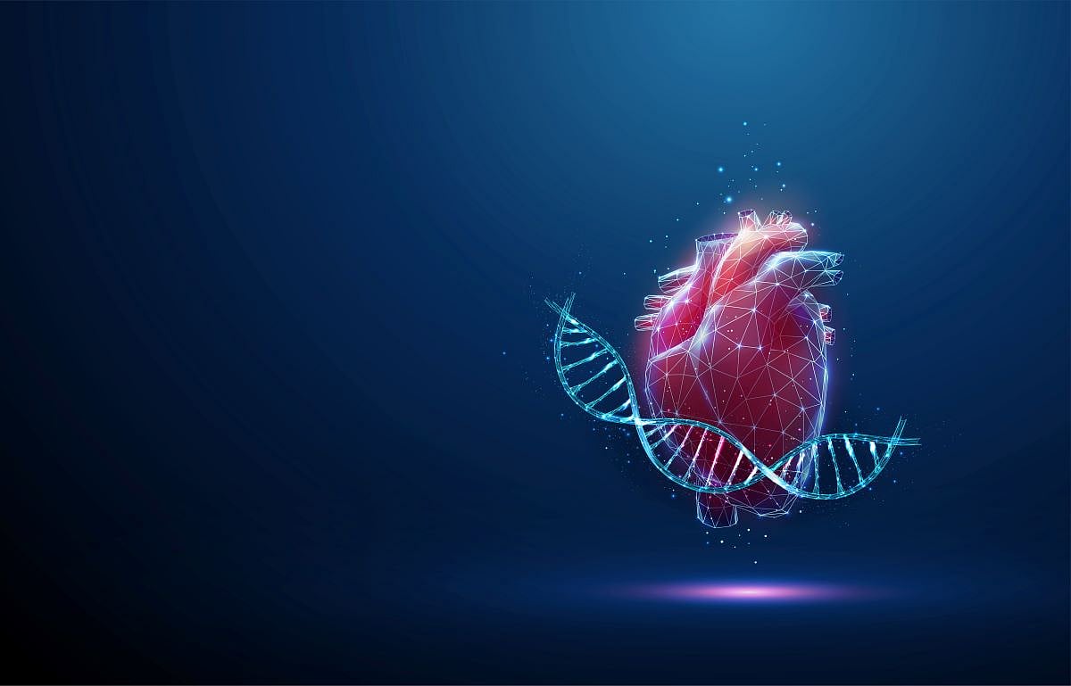 A-fib Plus Heart Failure a Dangerous Combo