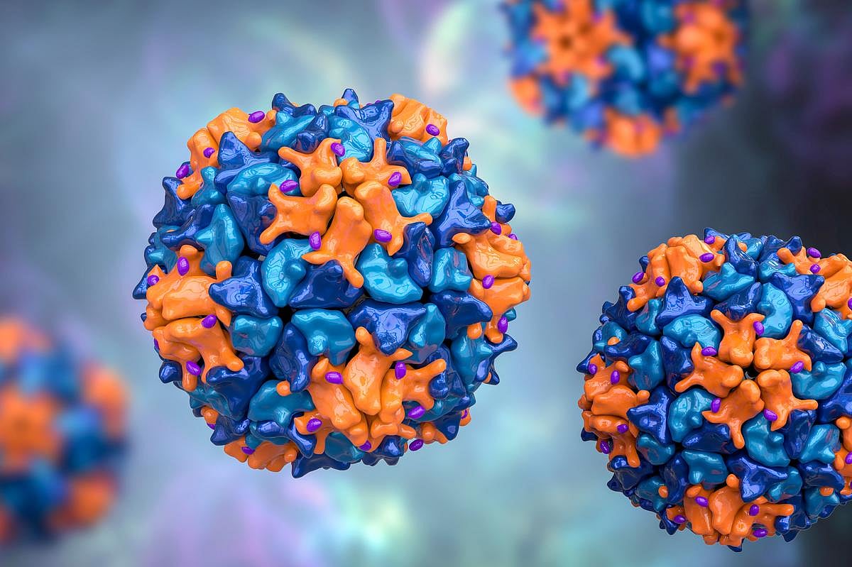 Iowa Resident Dies of Suspected Lassa Fever After Trip to West Africa