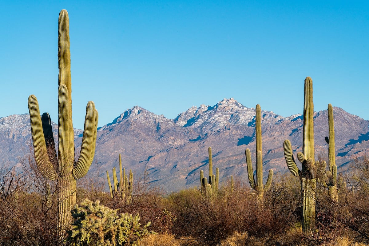 California's Drought Cycles Raise Threat of Dangerous Airborne Fungus