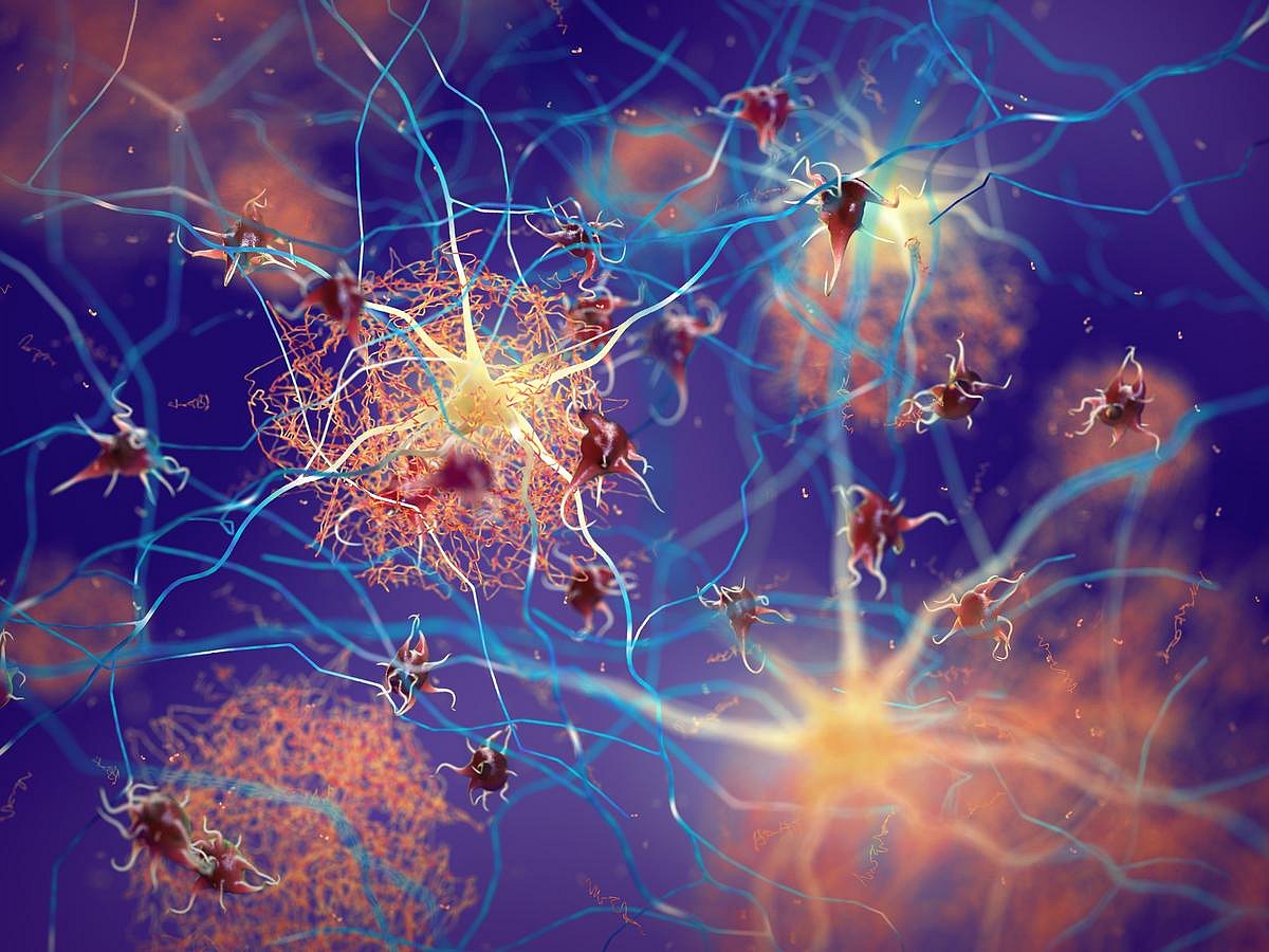Scientists Discover the Brain's Waste-Disposal System, With Clues to Alzheimer's Disease