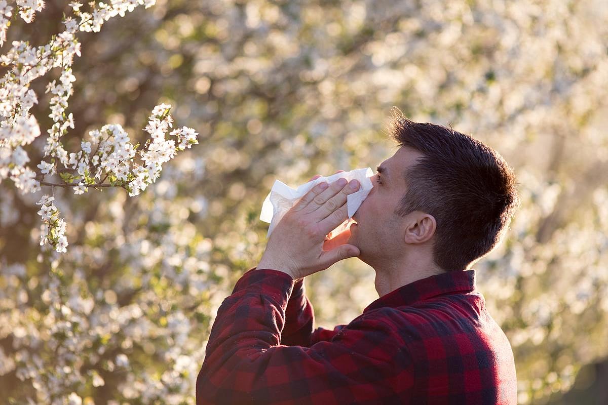 How to Treat Spring Allergies: A Graduated Approach