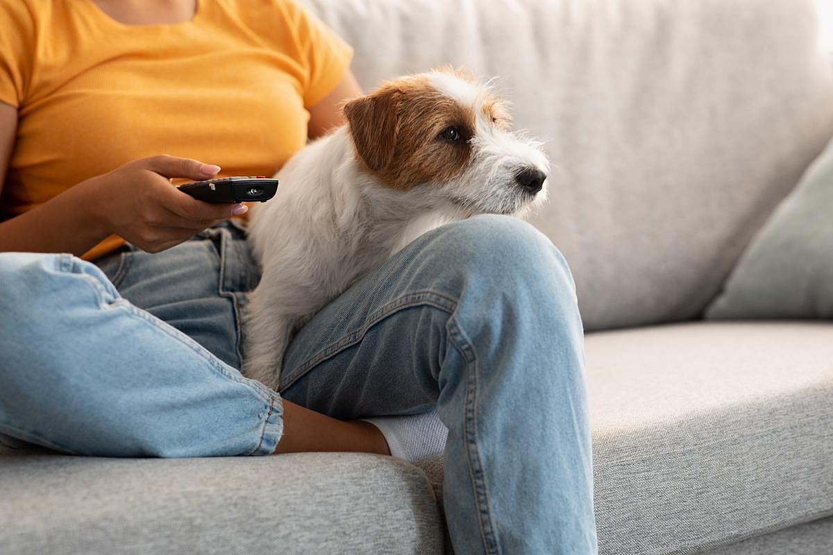 Get Off the Couch: Another Study Shows Sitting's Health Dangers