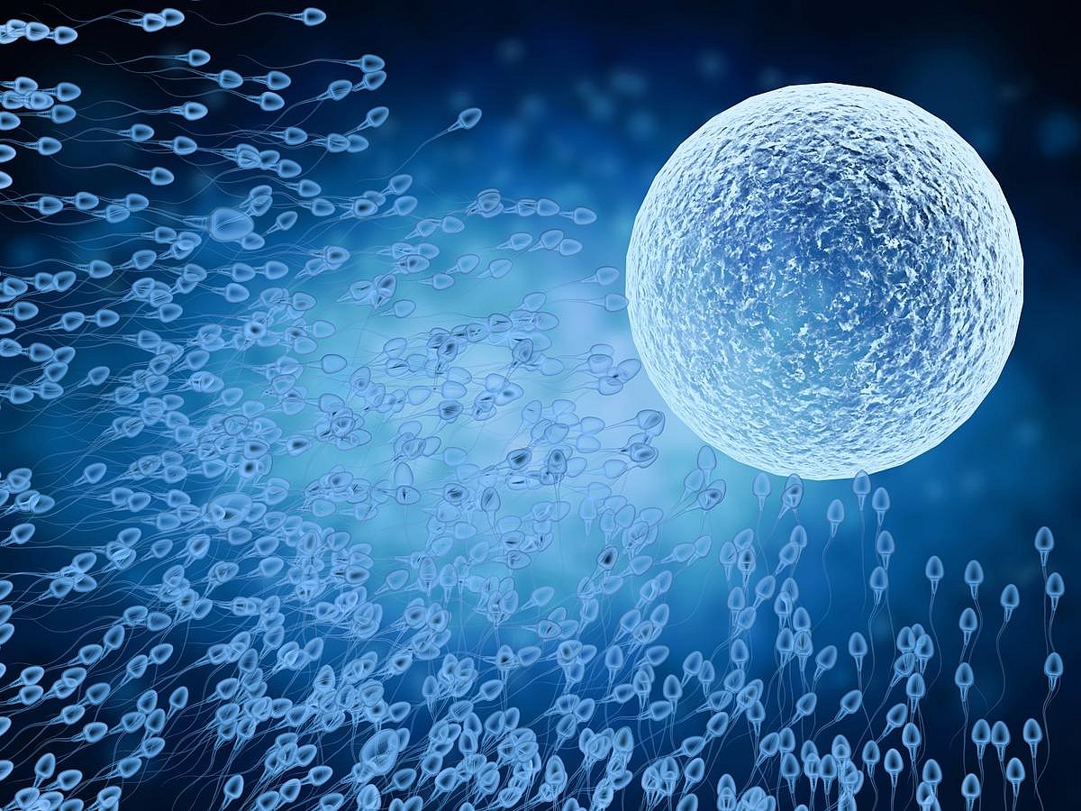 Could Fertility Treatments Raise Heart Defect Risks in Babies?