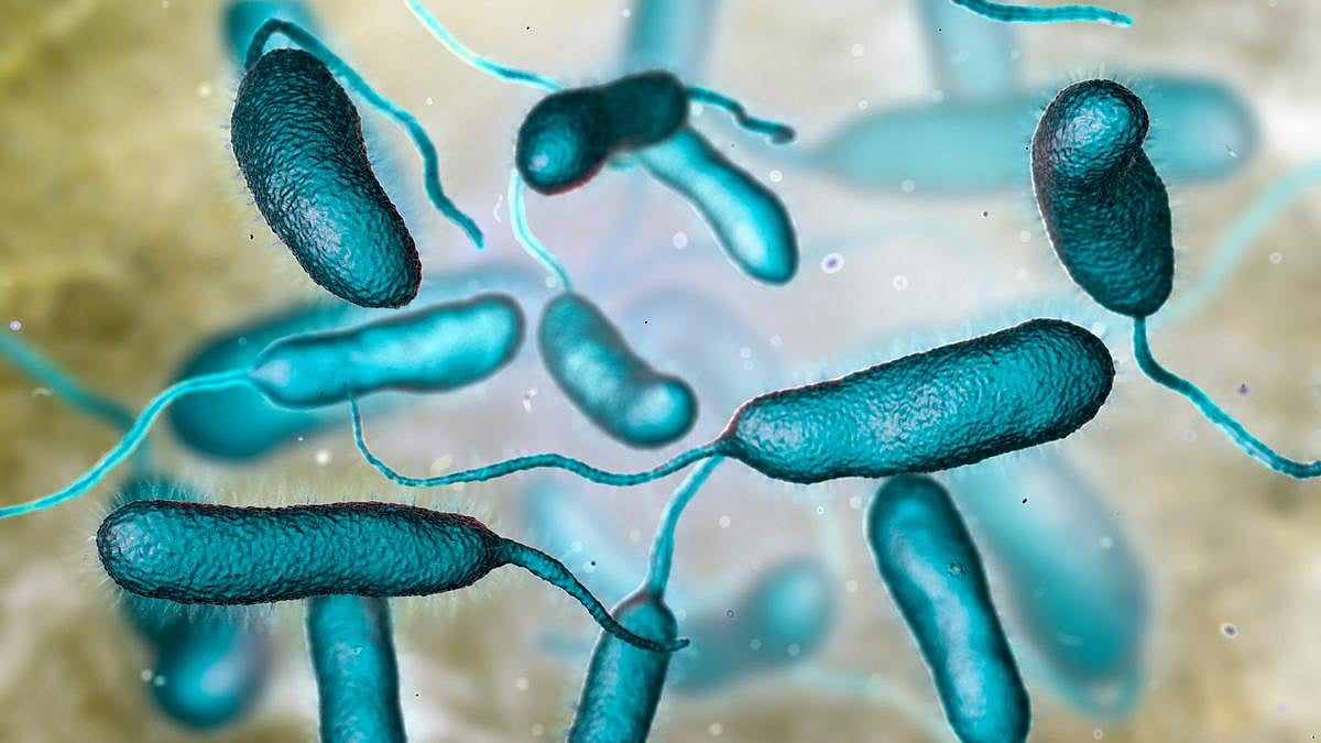 Infections From Flesh-Eating Bacteria Are Spreading to New Areas